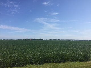 Property photo 15 - INVESTMENT QUALITY FARM LAND AUCTION 418 +/- ACRES IN 10 TRACTS IN AUGLAIZE COUNTY, OHIO